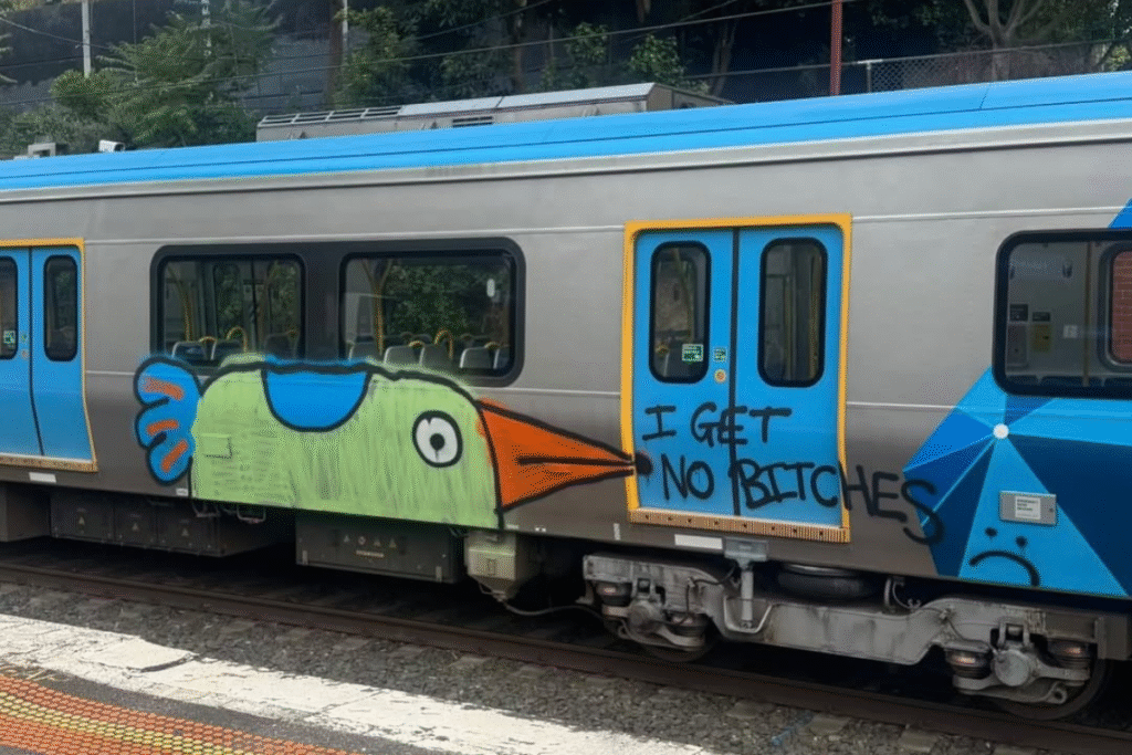 Who Is Pam The Bird? Graffiti Artist Facing 208 Vandalism Charges Appears in Court Dressed as Spider-Man