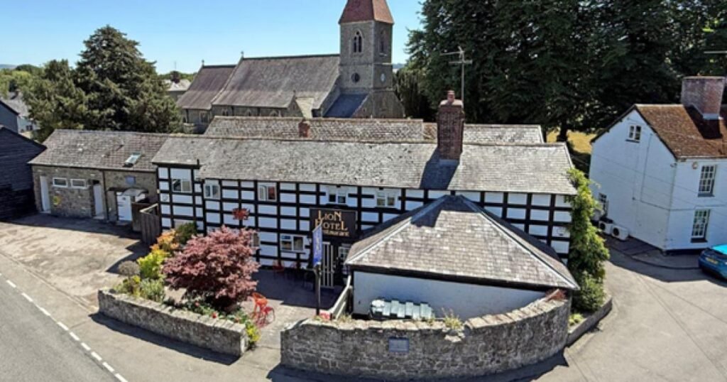 Powys hotel owned by artist Andrew Logan on the market