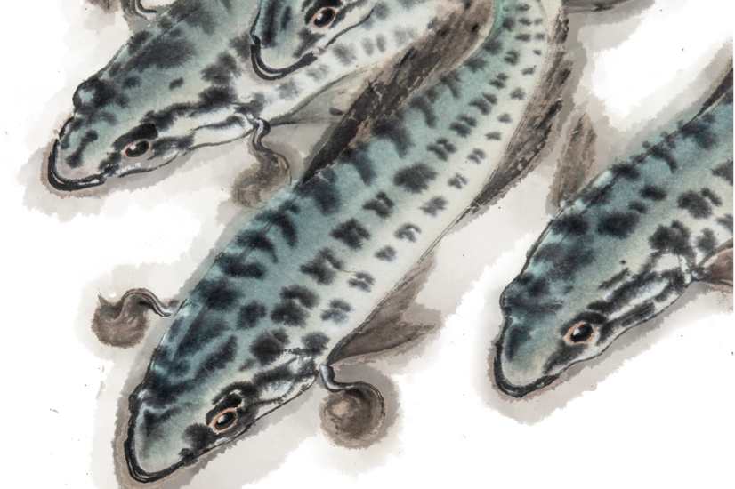 Art of writing – Chinadaily.com.cn