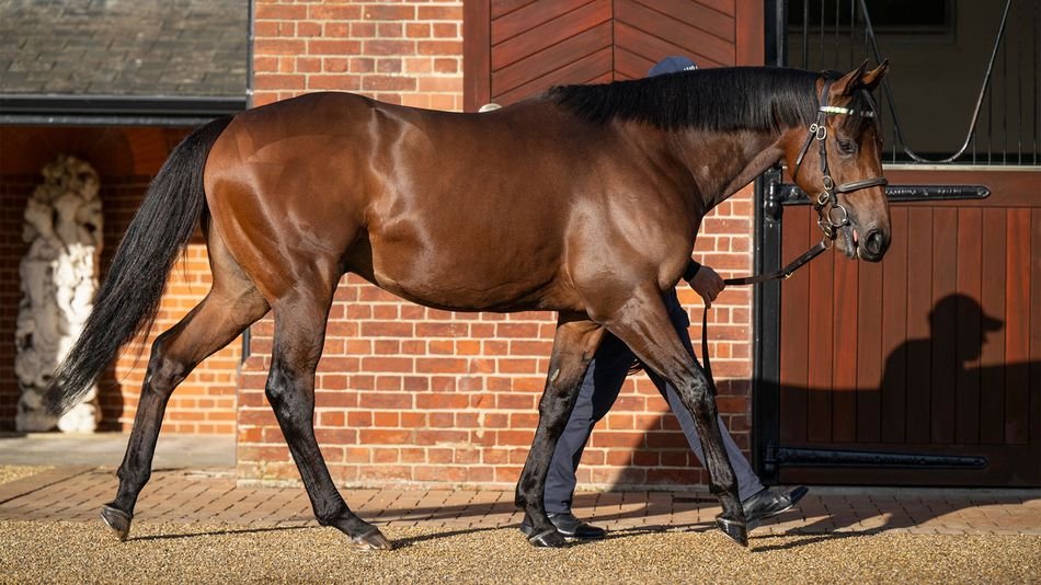 First mares in foal for Juddmonte’s Lockinge winner Lead Artist